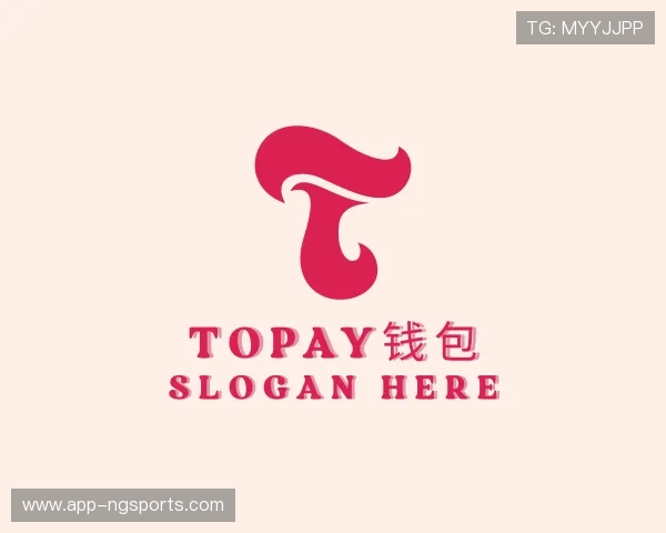 关于TOPAY钱包
